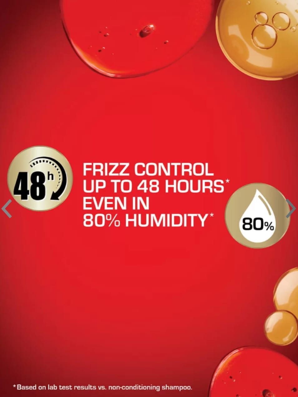 WhatsApp Image 2024-10-20 at 15.44.10_bd97c2e5