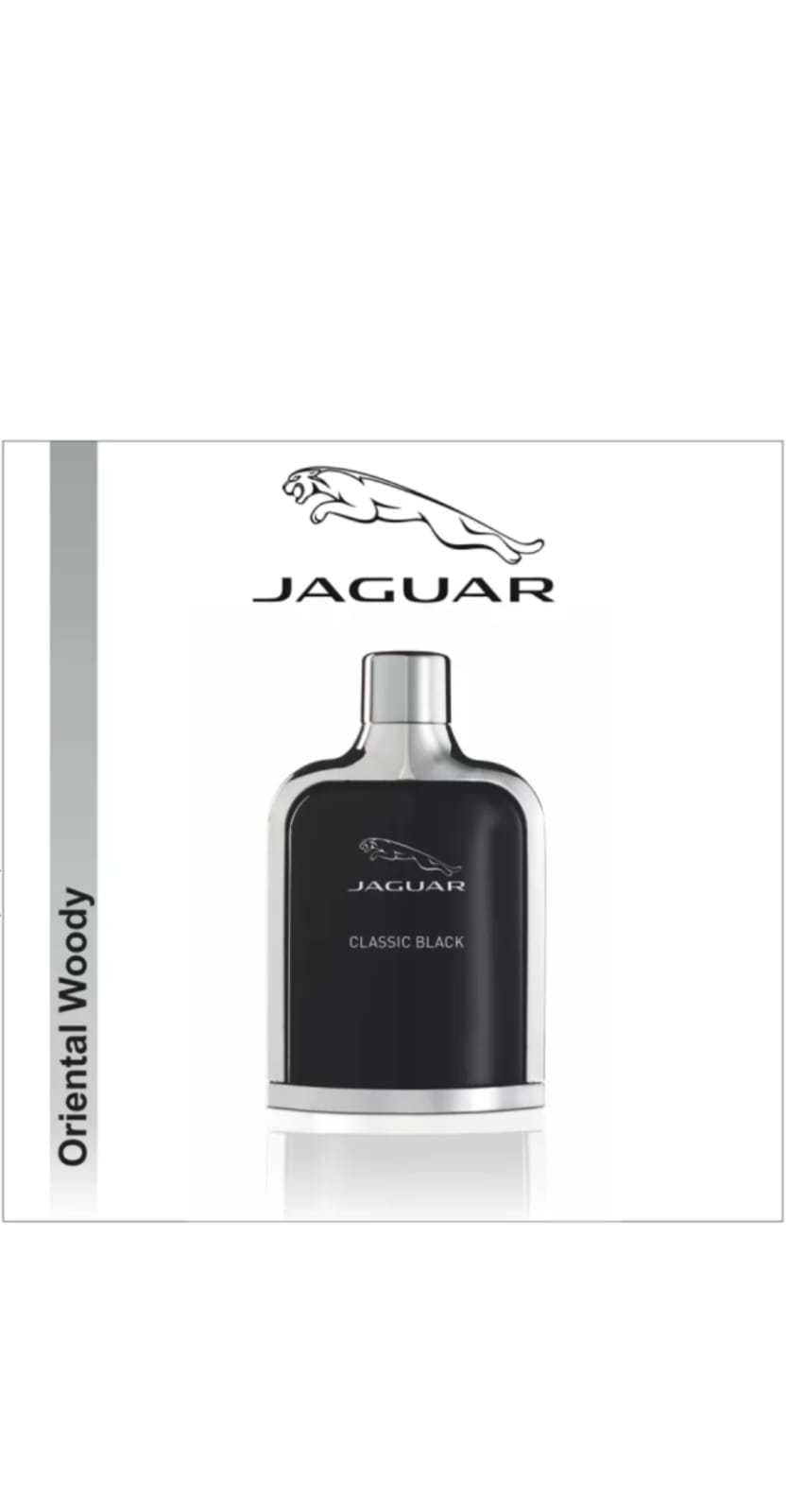 WhatsApp Image 2024-10-20 at 18.23.05_d1a587a2