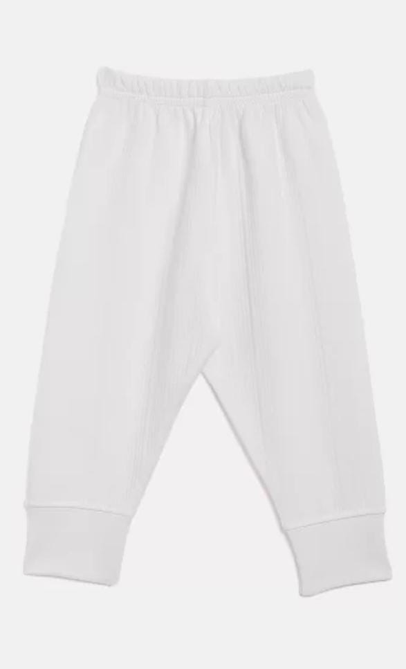 WhatsApp Image 2024-10-20 at 5.29.19 PM (3)